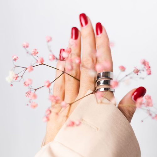 soft-gentle-photo-woman-hand-with-big-ring-red-manicure-hold-cute-little-pink-dried-flowers-white (1) (1)